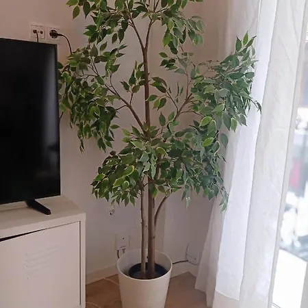 Midtown Sweet Apartment Alicante